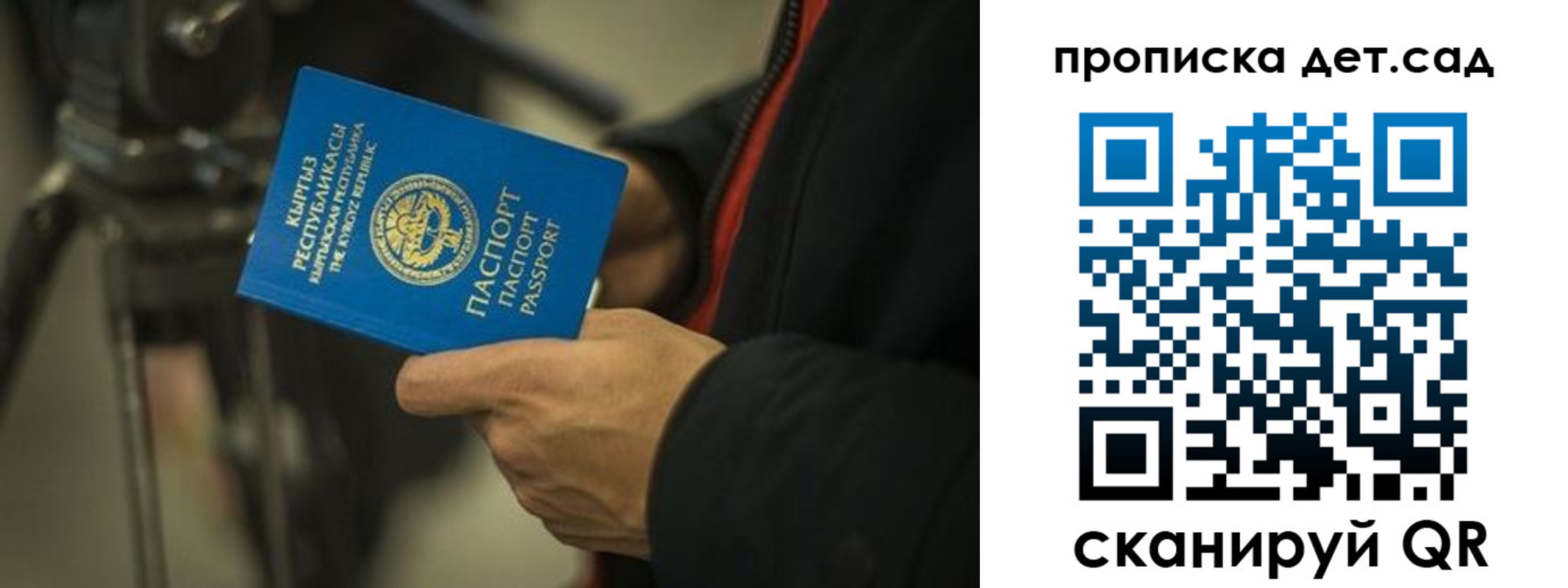 прописка поиск в Пскове